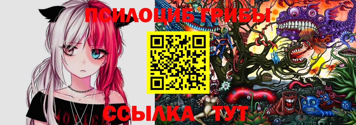 Черемхово  Галлюциногенные грибы Psilocybine cubensis  Вход с VPN 