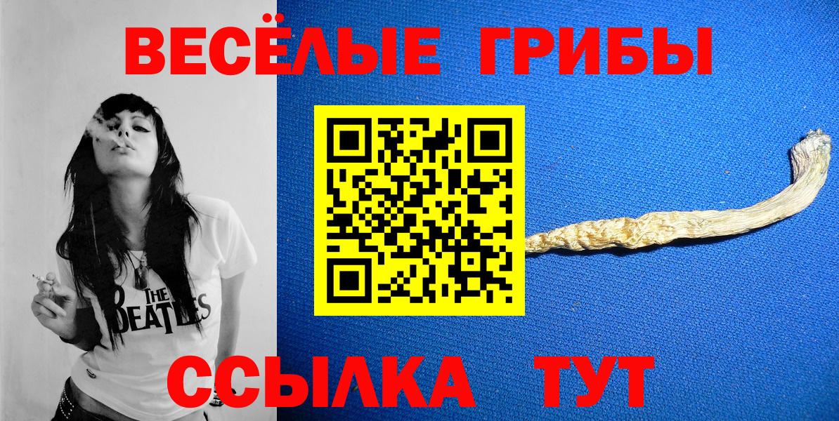 Псилоцибиновые грибы MAGIC MUSHROOMS Черемхово
